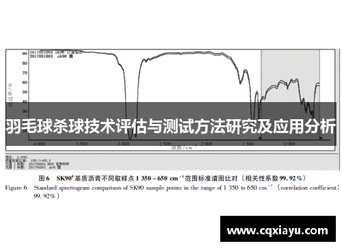 羽毛球杀球技术评估与测试方法研究及应用分析