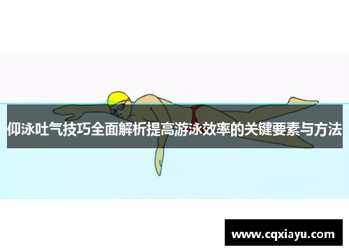 仰泳吐气技巧全面解析提高游泳效率的关键要素与方法