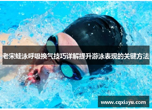 老宋蛙泳呼吸换气技巧详解提升游泳表现的关键方法