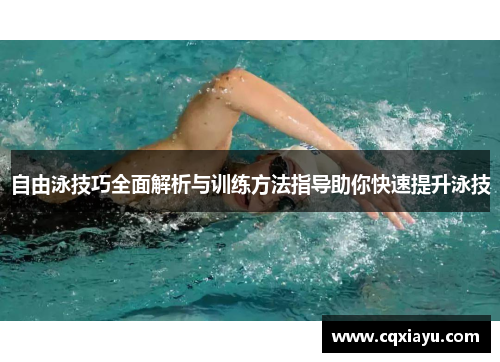 自由泳技巧全面解析与训练方法指导助你快速提升泳技